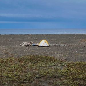 Meet your Posher, Gus